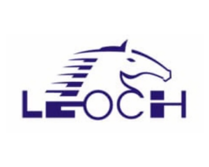 Collection image for: Leoch Battery
