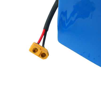 BW-7s10p-25.9-34000 Lithium Ion Battery Pack
